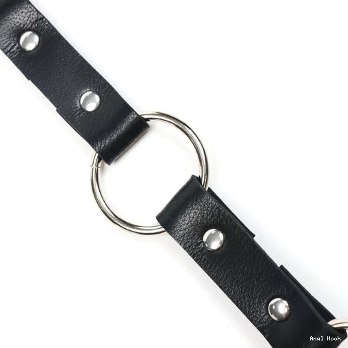 EverydayUse Kinky Anal Collar Leash 5853 with Hook and 0629